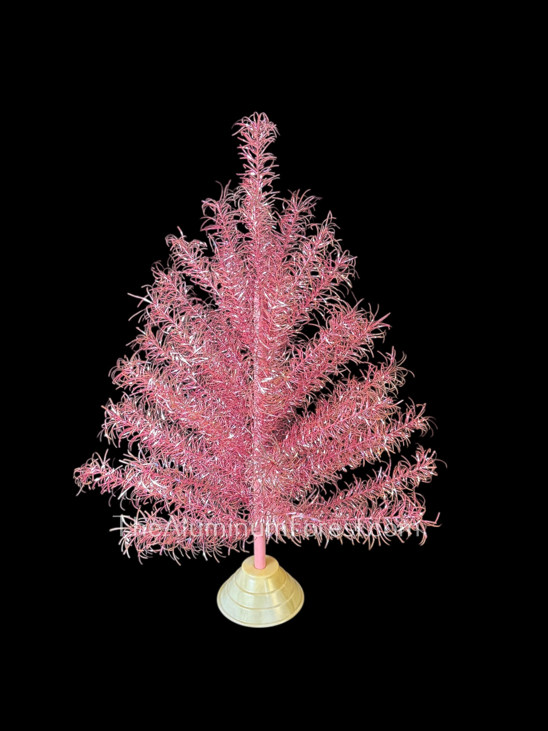 CarMaxPink4TAF